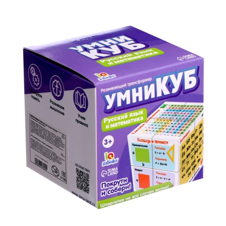 Developing transformer "Cleeps: Russian language and mathematics"-8