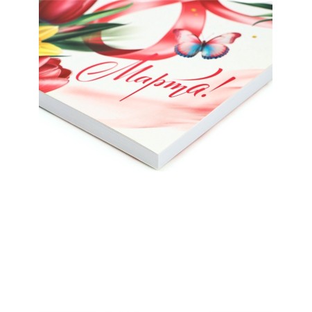 Set: Diary and eco pen "The most tender. Since March 8!"-2