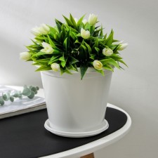 Pot with the Podon 