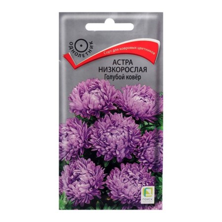 Flowers of Astra Flowers Street "Blue Carpet", 0.2 g