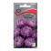 Flowers of Astra Flowers Street "Blue Carpet", 0.2 g