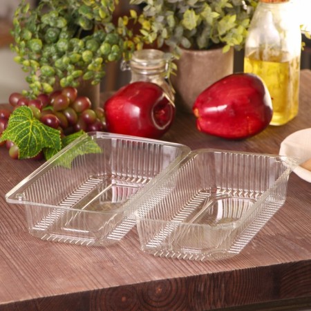 A disposable plastic container with an insoluble lid pr-K-27 "A", 24 × 12.9 × 8.9 cm, internal 21.3 × 9.9 × 7.8 cm, color transparent color-1