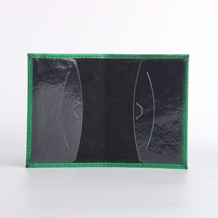 Cover for passport, green color-4