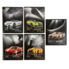 Notebook of 48 sheets in the cage 