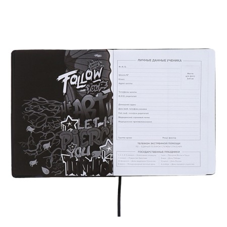 School diary for grades 1-11, Skeleton Street, solid cover, artificial leather, lies, universal cheat sheet, 48 sheets, block 80g/m2-4