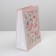 Gift laminated package, packaging, Pressent for You, MS 18 x 23 x 8 cm