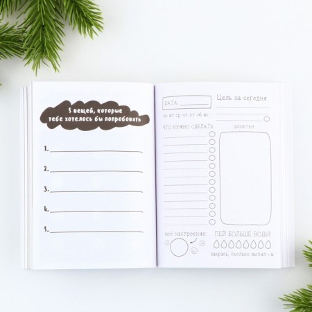 New Year. Notepad of a creative person in the “non -nervous system” Superproke A6, 120 liters-4