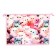 A4, 325 x 230 x 55 mm folder folder, lightning from above, plastic, PM-A4-29 calligrata "Fluffy cats"
