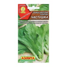 Busting seeds salad 