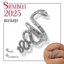 New Year! Symbol of the year 2025! Ring Metal 