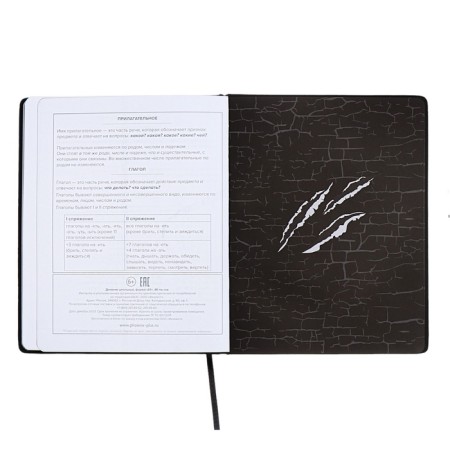 School diary for grades 1-11, dragon's eye, hard cover, artificial leather, application, pancake embossing, foil embossing, universal cheat sheet, 48 sheets, block 80g/m2-13