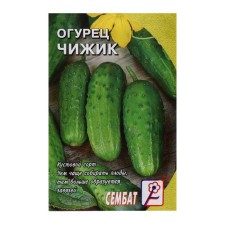 Cucumber seeds 