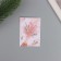 Postcard with seeds "grow itself" "champagne" 5*7cm