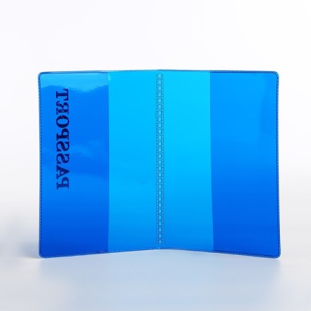 Cover for passport, blue color-6