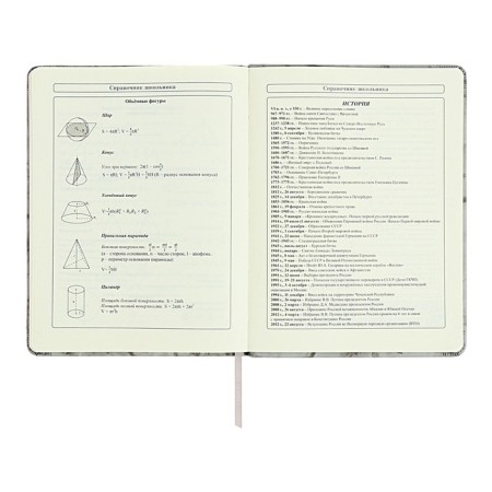 Diary 1-11 grade "Gray marble", artificial leather, a solid cover with embossing, with liesa, 48 sheets-11