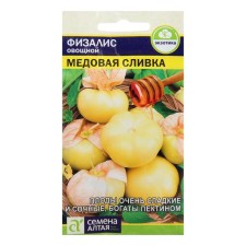 Seeds Phizalis 