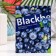 Mask mask moisturizer with blueberry extract