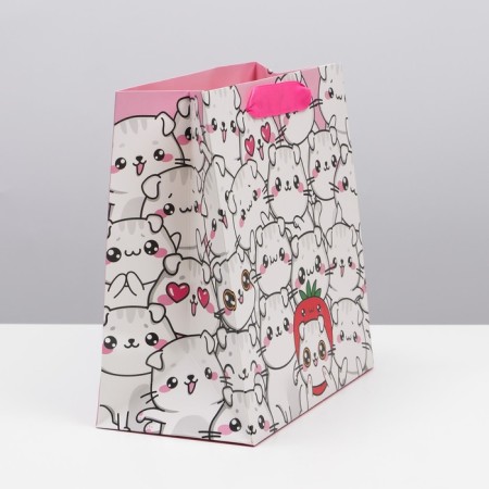 Gift Laminated Square, packaging, “cats”, 22 x 22 x 11 cm-3