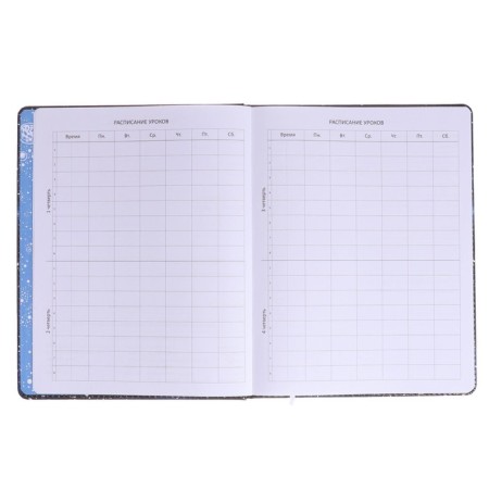 Universal diary for grade 1-11 Astronaut, solid cover, artificial leather, foam rubber, lies, 80 g/m2-4