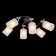 Ceiling Citilux Cutilux CL119261, 52x38x1.5 cm, 6x75W, E27, Black Color Black