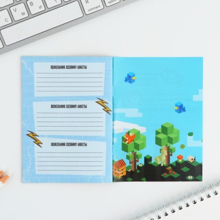 Profile for boys A6, 16 sheets "Pixel"-13