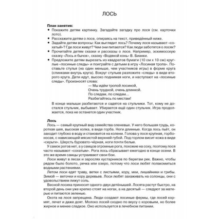 Forest animals. Kulikovskaya T.-2