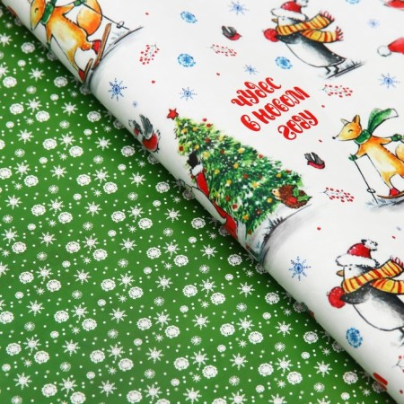 Paper packaging glossy bilateral "holiday", 70 x 100 cm-2