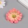 Budon on the leg for decoration "multilayer chamomile white-pink" 6x6 cm