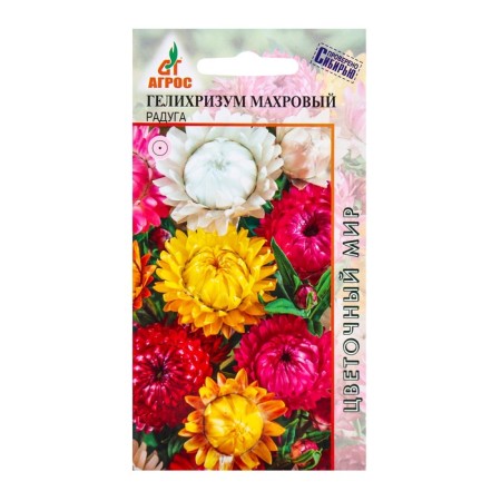 Seeds Helichrizum Taurus rainbow 0.3g*dry