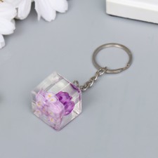 Plastic keychain 