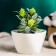 Light pot 5x8cm, white