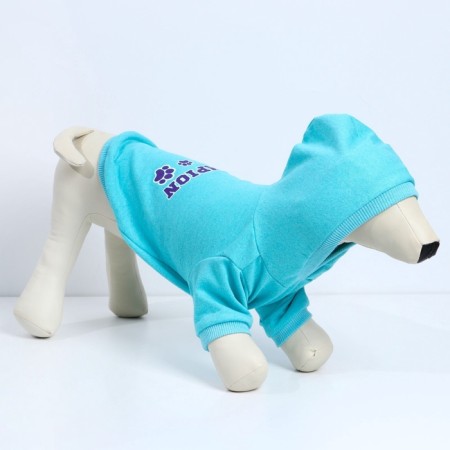 CHAMPION Holstery for dogs (footer), size S (DS 23, Osh 32-34, OG 40-44), Blue-2