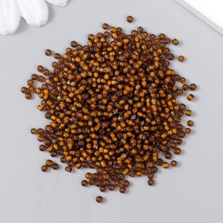 Beads "Astra" 11/0, 20 g (308 brown/transparent with a color center)-1