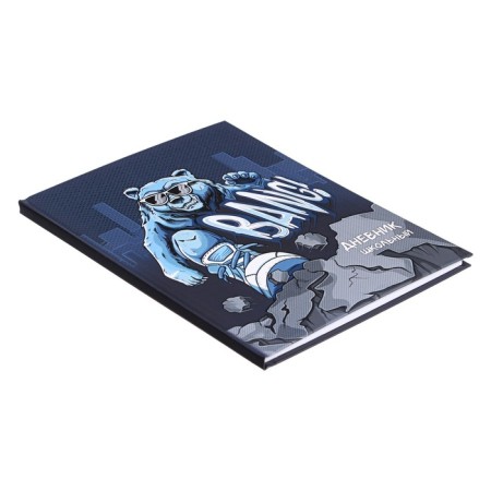 The diary is universal, for grades 1-11, "steep grizzly", a solid cover, matte lamination, selective UV-lame, an offset block, a universal cheat sheet, 48 sheets-1