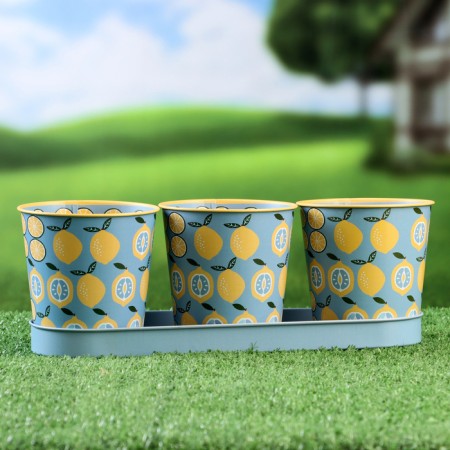Kashpo Set on the Bucket stand Lemons, 29x10x10cm-1