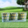 Kashpo Set on the Bucket stand Lemons, 29x10x10cm