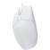 Mouse Dareu Wended LM103 White (White), DPI 1200, size 118x61x38mm, 1.58m