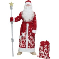 New Year! Carnival costume 