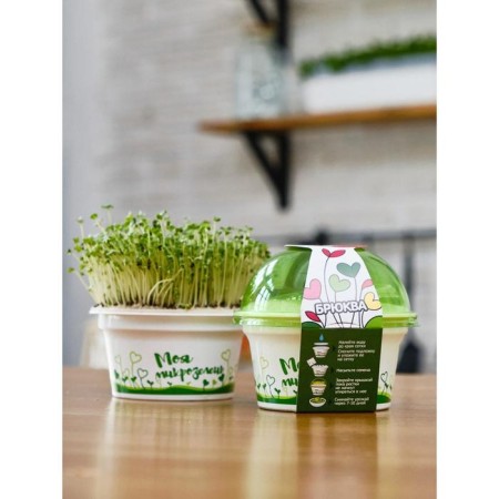 Set for growing "My Microside", Brutsyva-4