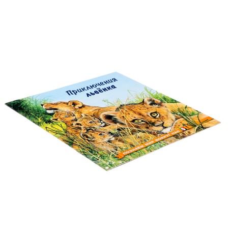 We know the world around us "The Adventures of the Lioness"-3