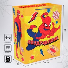 Gift package 