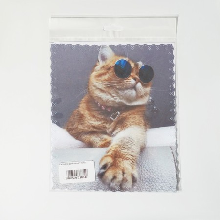 TAO9 “Cat with glasses” 15 × 18 cm, beige color-2
