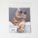 TAO9 “Cat with glasses” 15 × 18 cm, beige color
