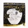 Wish flashlight "Congratulations", dome, white