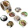 Stick Paper "Wild Animals" d = 2.5 cm 500 pcs in roll
