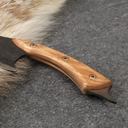 Cutting knife "Shark"-1