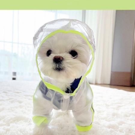 Commentary raincoat for dogs, rr l (DS 35, og 47 cm, weight 8-11 kg), transparent yellow