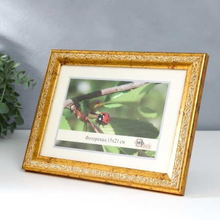 Photo frame plastic 15x21 cm 2315-1127-5-1