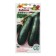 Semen zucchini "Pharaoh", 2 g