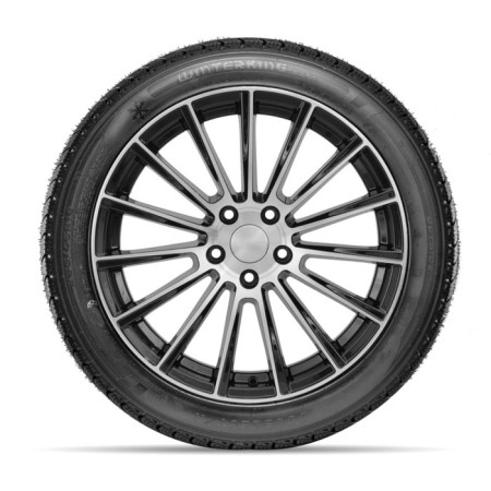 Winter NesyPatable DoubleStar DW02 245/50 R20 102T-4